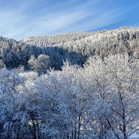 Ferienwohnung Stremme Willingen  Εξωτερικό φωτογραφία