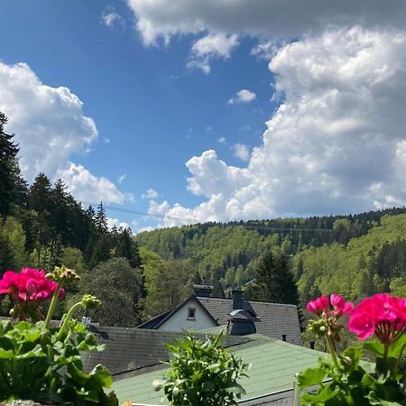 Ferienwohnung Stremme Willingen  Εξωτερικό φωτογραφία