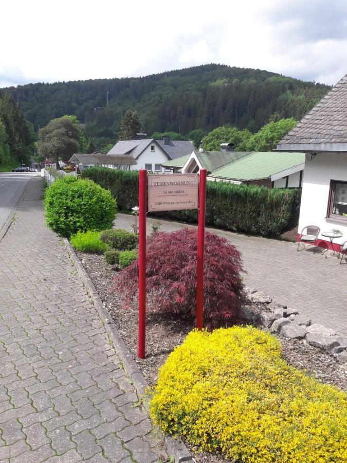 Ferienwohnung Stremme Willingen  Εξωτερικό φωτογραφία